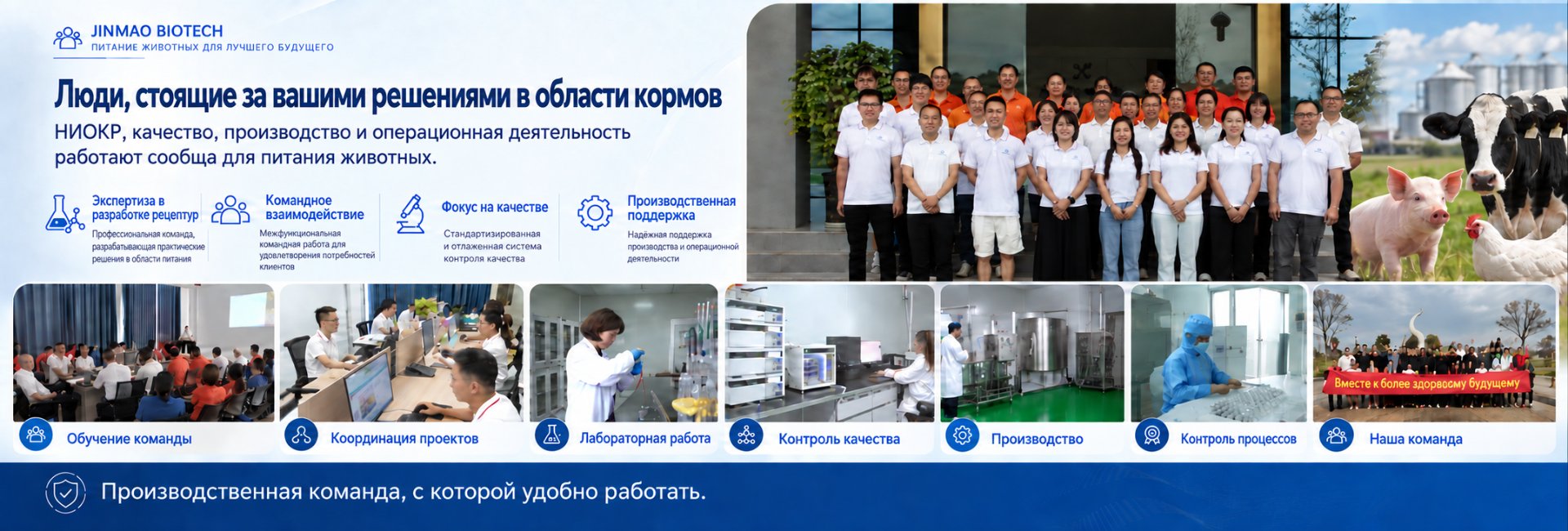 Команда и культура — люди за каждым продуктом